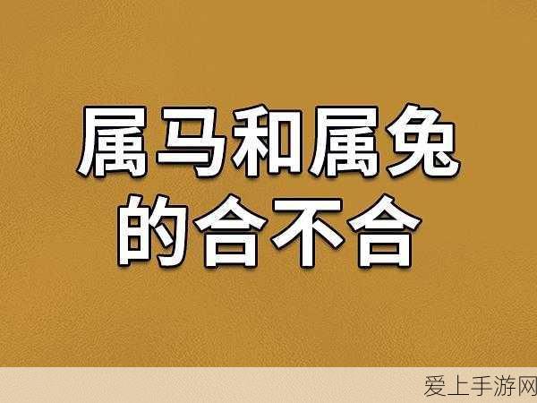 云顶之弈，深度解析驱动装置羁绊效果与实战策略
