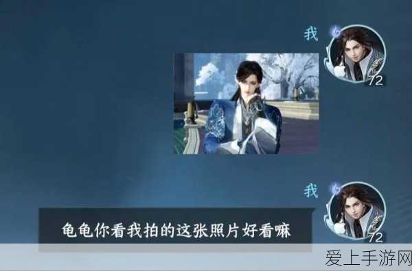 流放之路深度探索，揭秘暗夜血契受伤效果触发机制