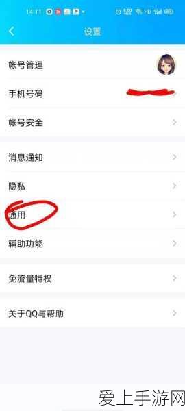 以闪亮之名礼包码全攻略，解锁独家福利，不容错过！