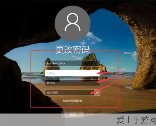 奇迹暖暖，童话之旅启程，揭秘海登侍童真实身份及梦幻比赛细节