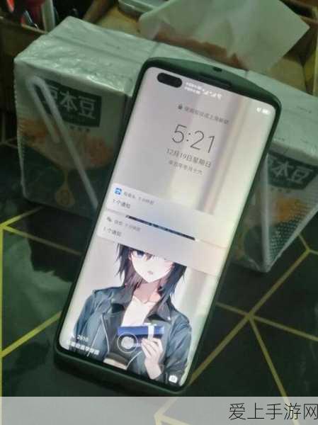 桃源记 2 来访之人接纳秘籍