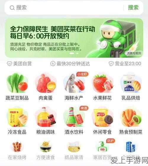 魔兽世界，兽王猎特殊宠物养成的深度秘籍