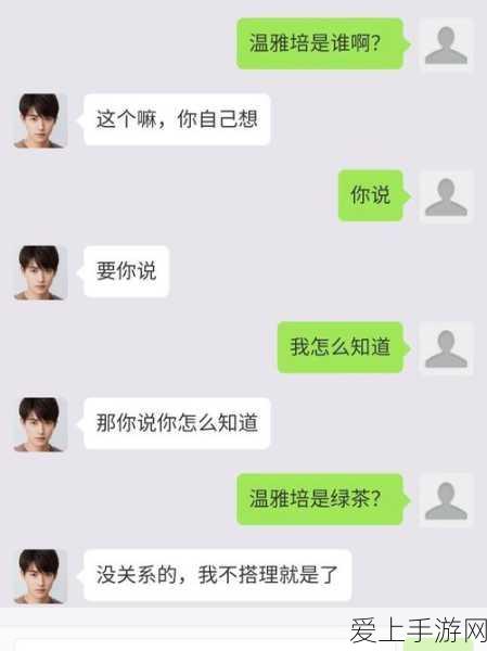 迷你西游三皇阵容深度解析，打造无敌神话的终极攻略
