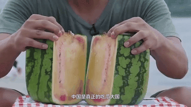 纸嫁衣4黑狗镇，揭秘恐怖剧情背后的真相