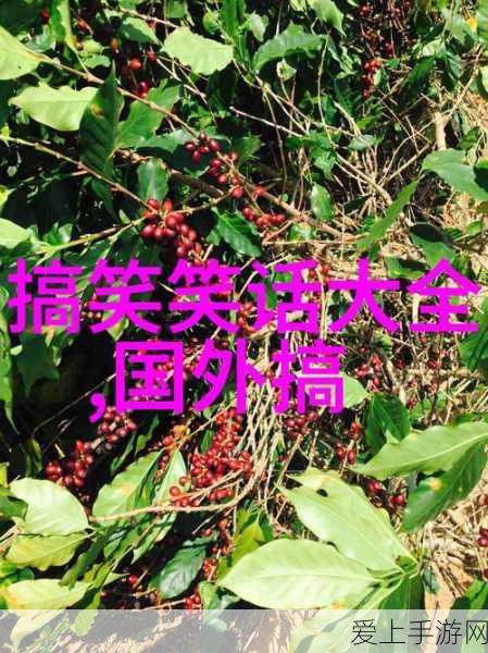纸嫁衣4黑狗镇，揭秘恐怖剧情背后的真相