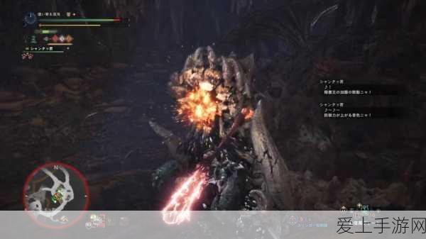 烟雨江湖宝藏揭秘，破烂绸布指引的绝世秘境全攻略