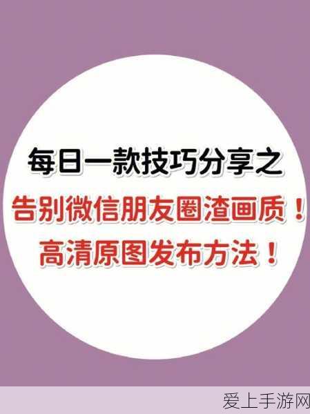 和平精英新手攻略，从零开始的吃鸡之路