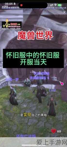 姆克鹰在口袋妖怪复刻中的竞技实力深度剖析