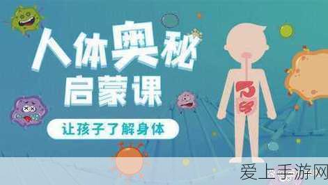 崩坏星穹铁道，克拉拉角色深度解析与培养价值探讨