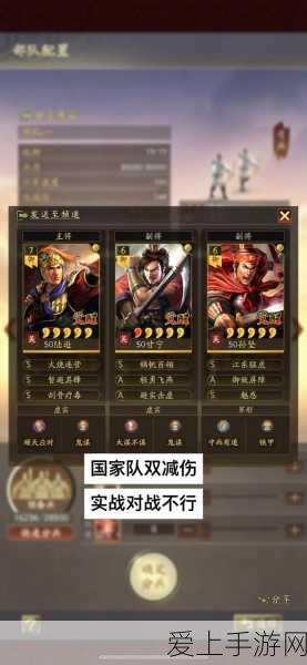航海王热血航线，揭秘走失猫咪任务全攻略，助你轻松解锁隐藏奖励！