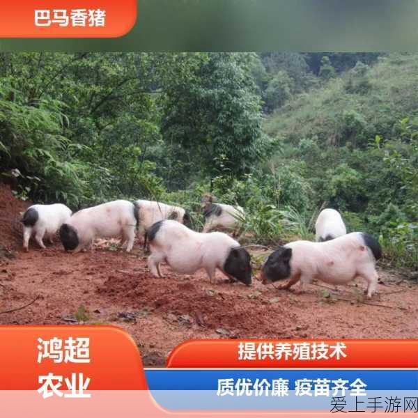 手游市场新动向，两大补贴政策助力，预计年度增量突破2300万用户