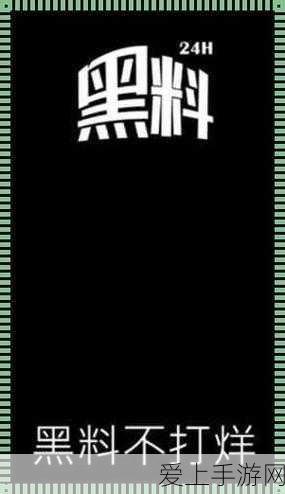 奥奇传说B服与官服互通详解，玩家必看指南
