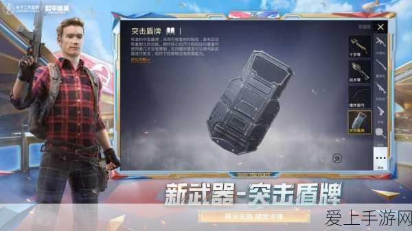 独家揭秘，宝可梦大探险游戏兑换码获取攻略及精彩赛事预告