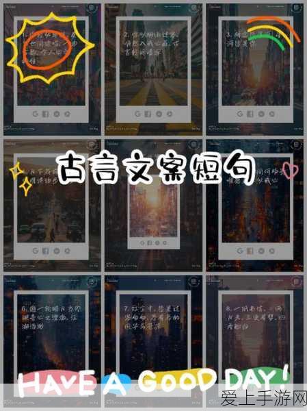 冠军之路揭秘，口袋妖怪漆黑魅影通关全攻略