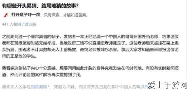 云顶之弈深度解析，战斗法师海克斯技能效果与实战策略