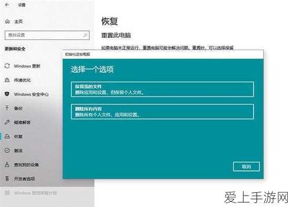 云顶之弈深度解析，战斗法师海克斯技能效果与实战策略