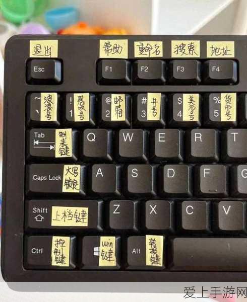 第五人格，宿伞之魂大笑等待动作的独特魅力与获取攻略