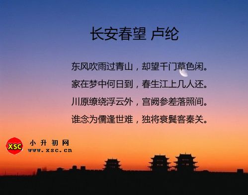 使命召唤手游人物手臂影像显示设置全攻略，打造个性化战斗风采