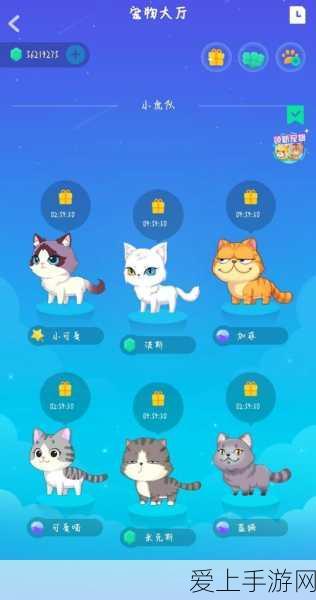 暗黑破坏神不朽D4战力大揭秘，极限挑战赛解锁全新战斗境界