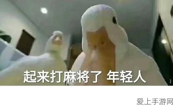 诛仙手游，仙青云PK实战技巧与策略深度解析