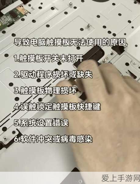 汤姆猫大显身手，猫和老鼠手游中汤姆的高效玩法与竞技技巧揭秘