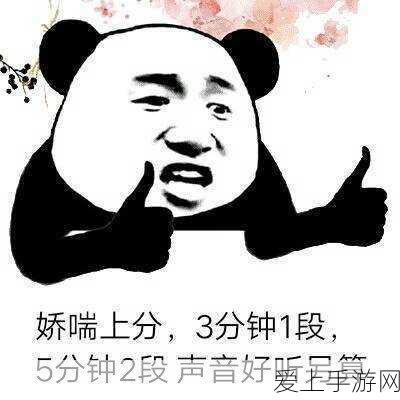 猎手之王，战场制胜法宝！道具效果深度解析与实战攻略