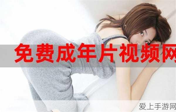 手游科技揭秘，电磁式继电器在手游硬件中的奥秘与应用