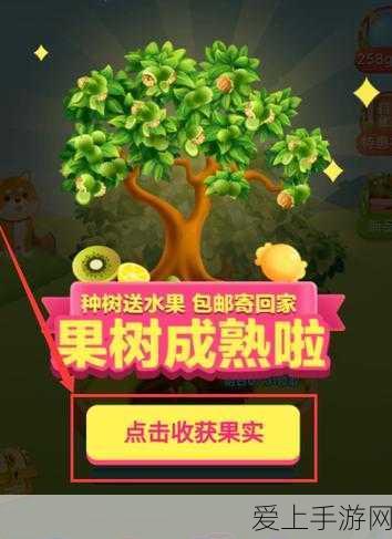 原神荒芒机制全解析，掌握元素战斗新纪元