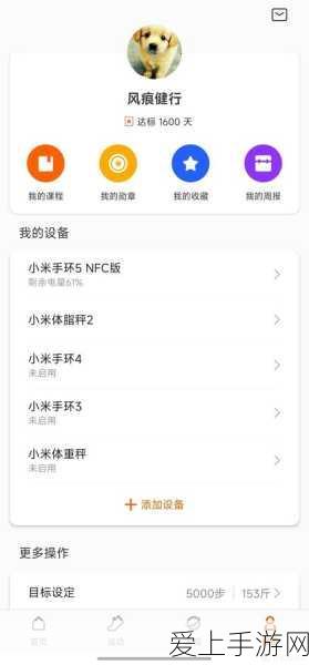 元气骑士回响琥珀使用次数揭秘，解锁无限战斗潜能