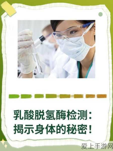 鸿图之下，徐晃技能阵容搭配全攻略，揭秘其战斗实力