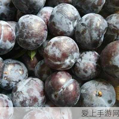 天魔里角色全解析，神武3手游中的刺客之王