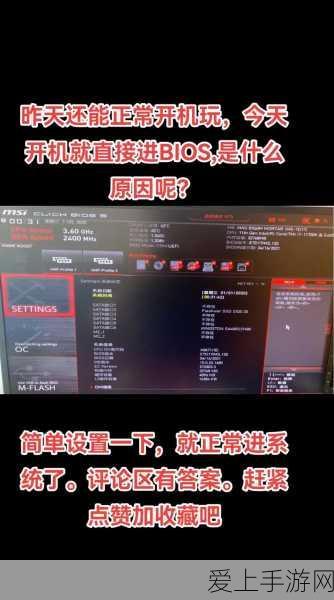 秘境探险攻略，植物大战僵尸3秘境小屋第2关通关秘籍
