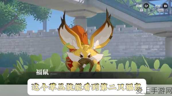 DNF精灵之森大冒险，次数获取全攻略及赛事详解