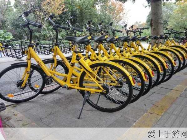 探秘最强蜗牛华夏贵重品全解析