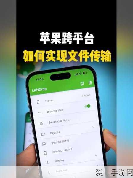 和平精英高手秘籍，Mini14精准射击与战术运用全解析