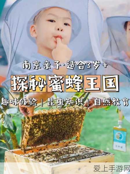 火影忍者OL震撼更新，梅塔尔·李新角色登场，技能全解析及实战应用