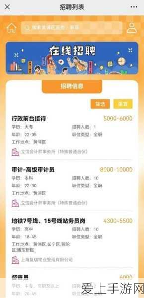 绝区零零零号空洞感电鸣徽深度剖析，战斗艺术新篇章