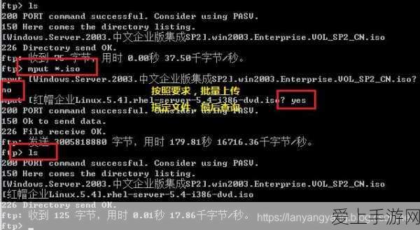 坎公骑冠剑深度解析，剑道部闪电行者挑战全攻略及后续剧情大揭秘