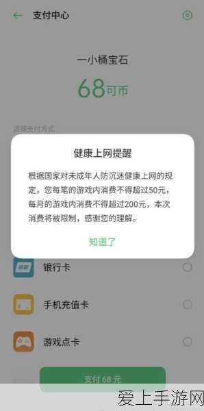 坎公骑冠剑深度解析，剑道部闪电行者挑战全攻略及后续剧情大揭秘
