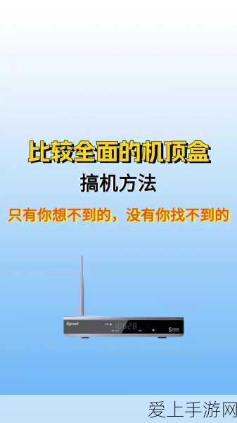天涯明月刀手游，囚龙之守奇遇任务通关秘籍