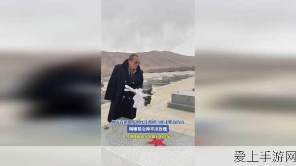 三国志战略版，顶尖辅助武将排行揭秘，策略致胜的关键！