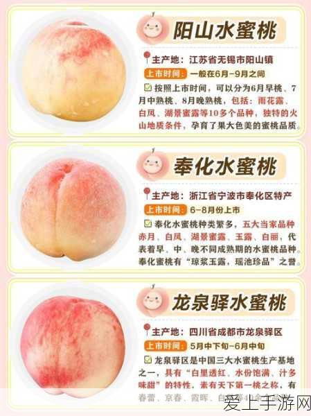 宿命回响，弦上叹息之心为谁飞扬乐装深度剖析