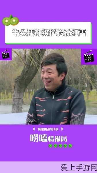 火影忍者手游，揭秘组织最高等级与深度玩法解析
