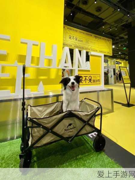 天堂a8在线:探索拓展天堂A8在线的无限可能与乐趣体验