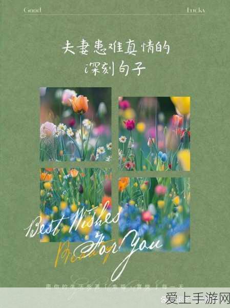 手游界革新突破！海尔颠覆性科技灵感融入全新游戏体验