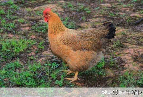 星露谷物语无限金币中文版