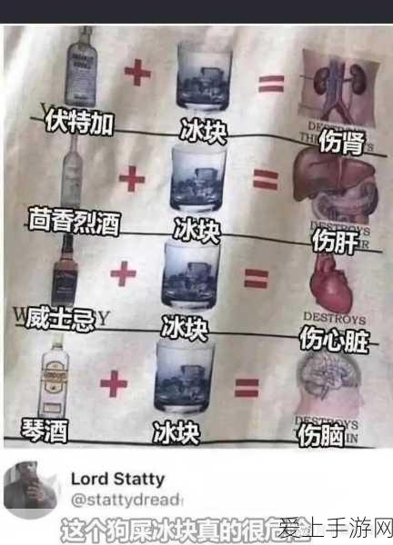 炉石传说，图腾萨卡组深度攻略，解锁天梯制胜秘籍！