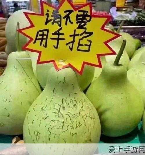 阴阳师彷徨猎场高效速刷阵容及最低配置深度剖析