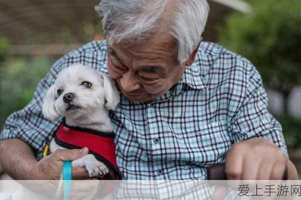 幻兽追寻，揭秘帕鲁祇岳鹿高效刷新位置与捕捉攻略