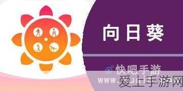 瑞芯微AI芯片研发新动向，AI协处理器芯片正加速推进